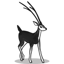 电话轰在线轰炸免费软件